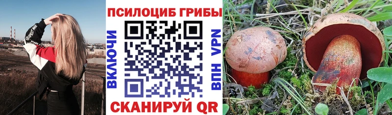 Псилоцибиновые грибы Psilocybine cubensis  KRAKEN ТОР  Сельцо 